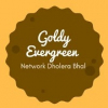 Goldy Evergreen