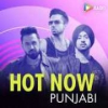 Radio Hungama Punjabi Hits