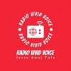 Radio Vivid Voice