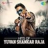 YSR radio FM